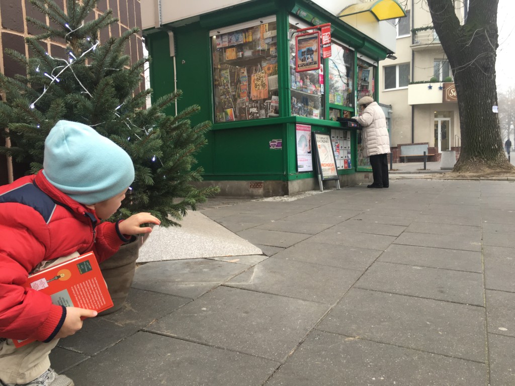 Biuro detektywistyczne Lassego i Mai