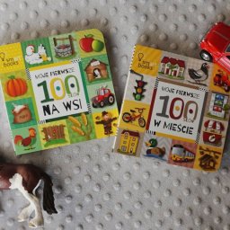 Moje pierwsze 100 słów - seria kartonówek dla najmłodszych