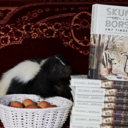 Skunks i Borsuk - powieść o przyjaźni z ilustracjami Jona Klassena
