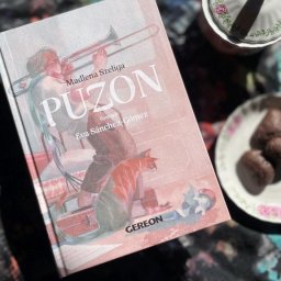 Puzon - powieść dla dzieci o kotach