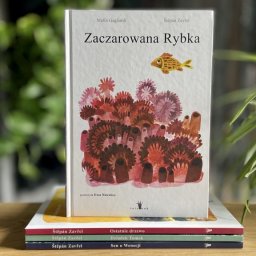 Zaczarowana Rybka - ilustrowana książka artystyczna