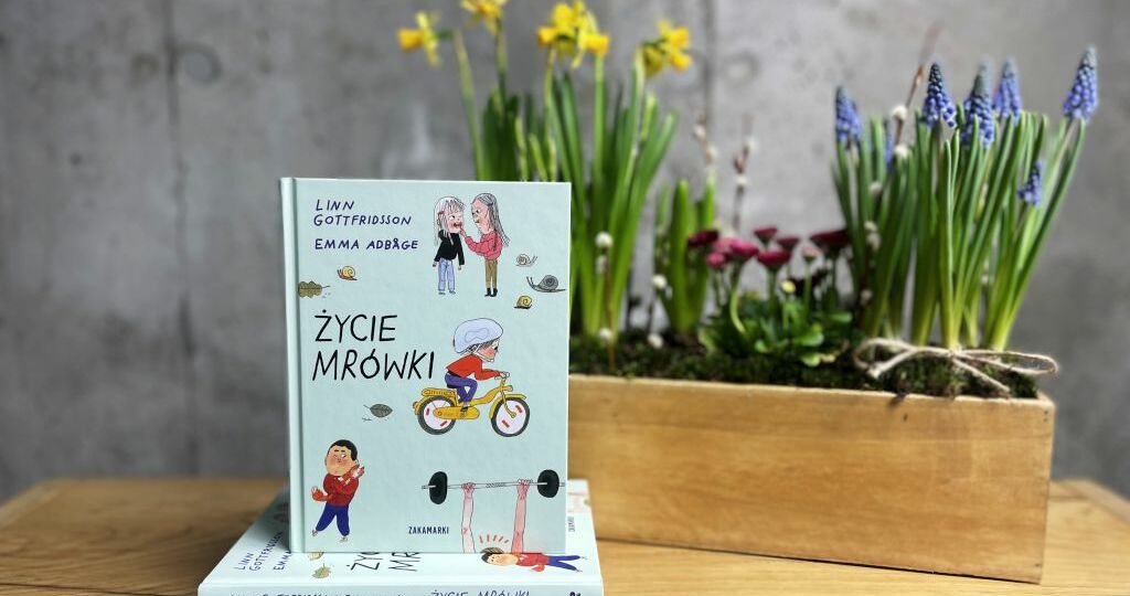 Książka o rozwodzie rodziców Życie Mrówki