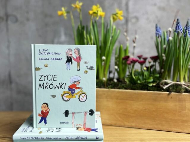 Książka o rozwodzie rodziców Życie Mrówki